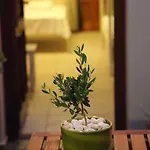 Apartman Ventoura & Galiszász